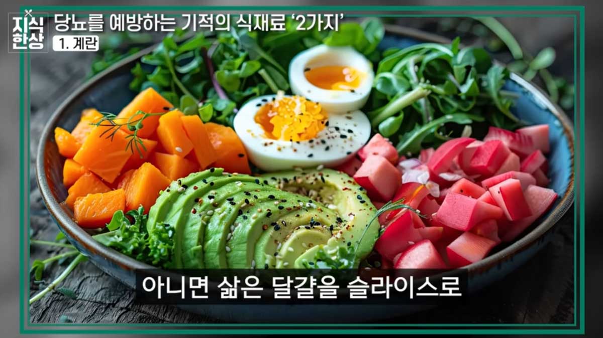 계란 아보카도 샐러드