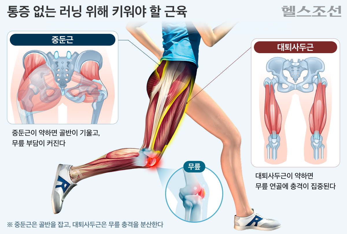 러닝 때 키워야 할 근육 그래픽