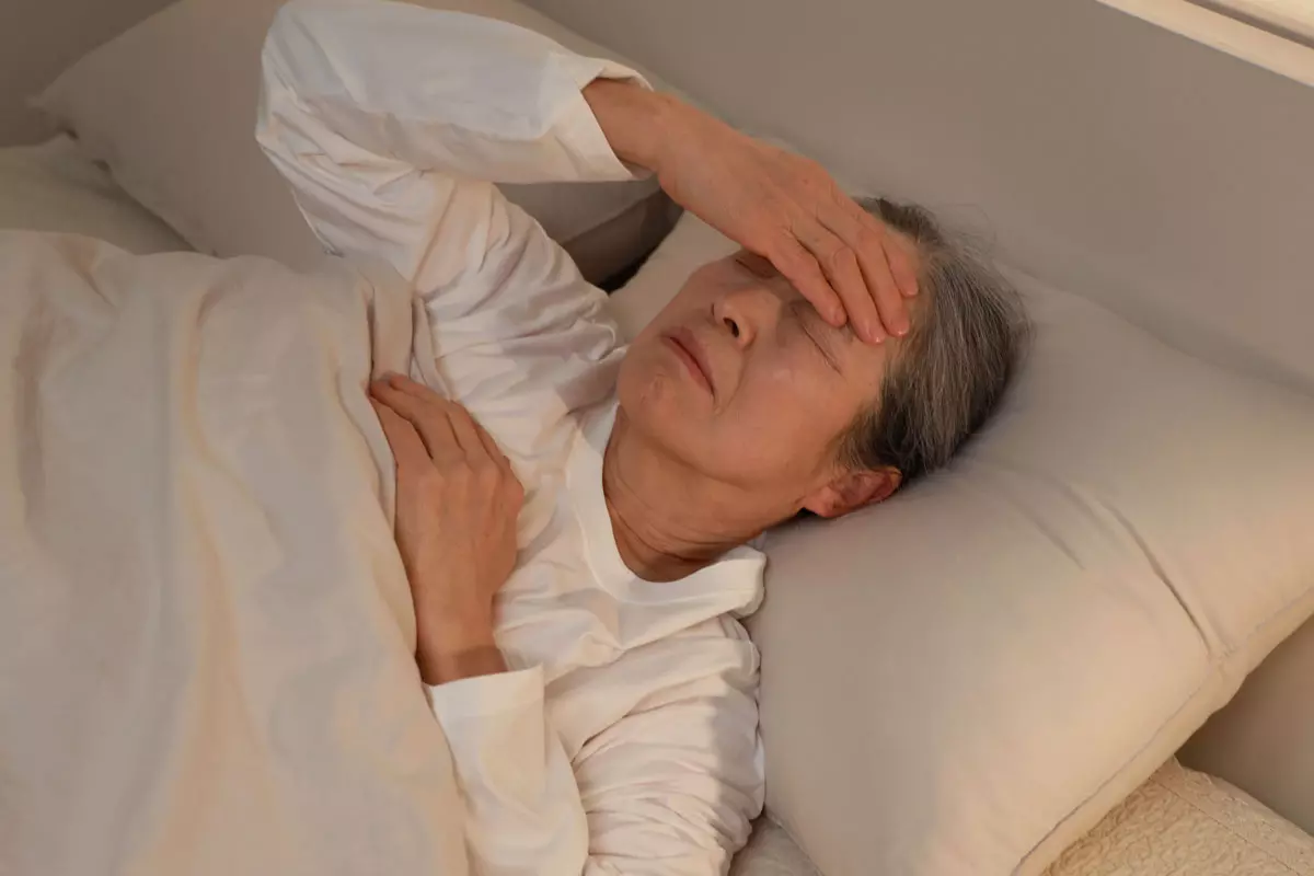 이미지