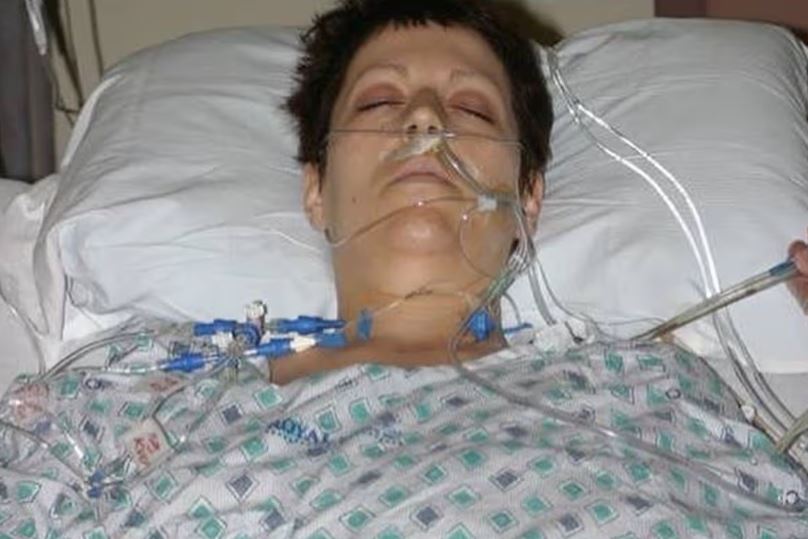 헤더 본 세인트 제임스