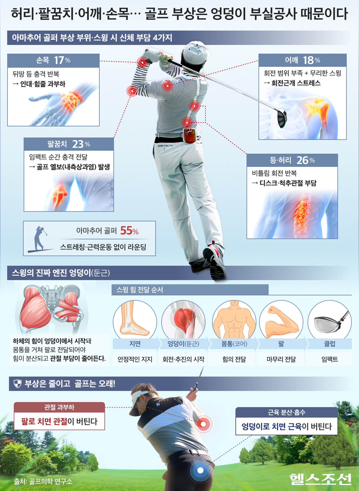 골프 때 쓰는 근육 그래픽