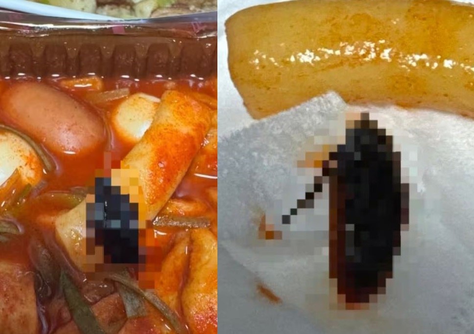 배달음식에서 나온 벌레
