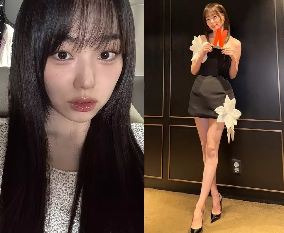 이미지