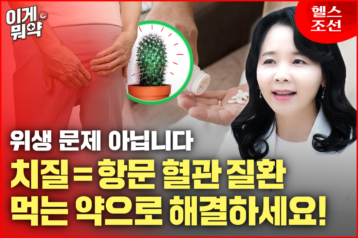 치질편 썸네일