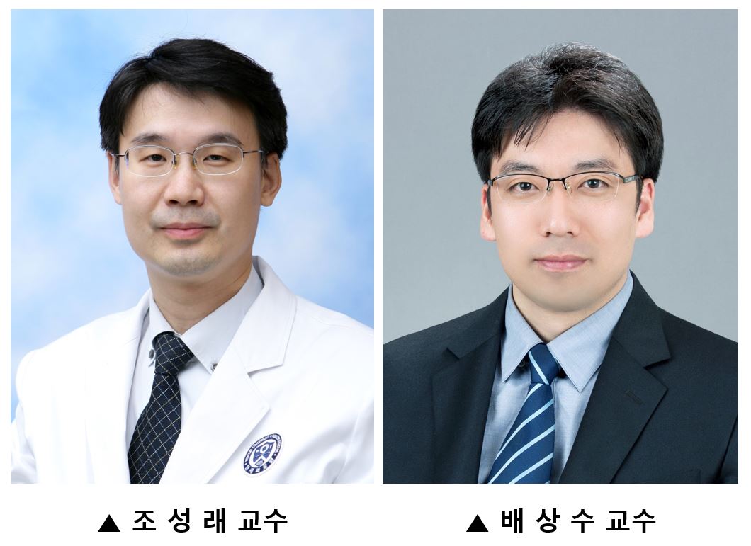 연구팀