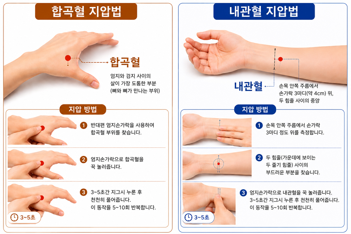 혈자리 그래픽
