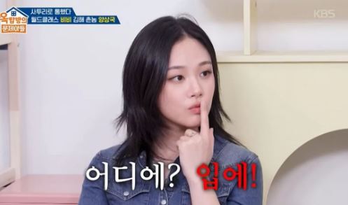 비비 사진