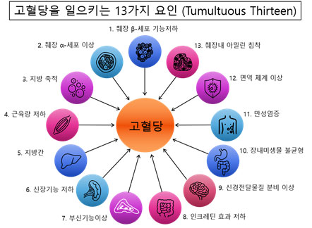 고혈당 표