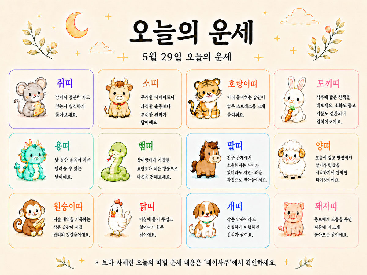 운세 사진