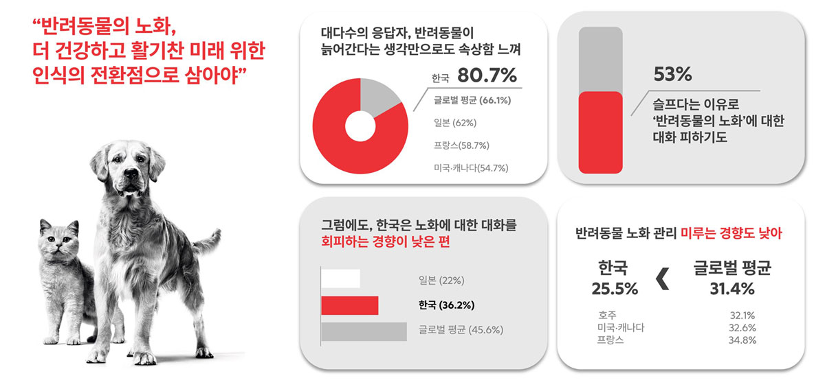 인포그래픽