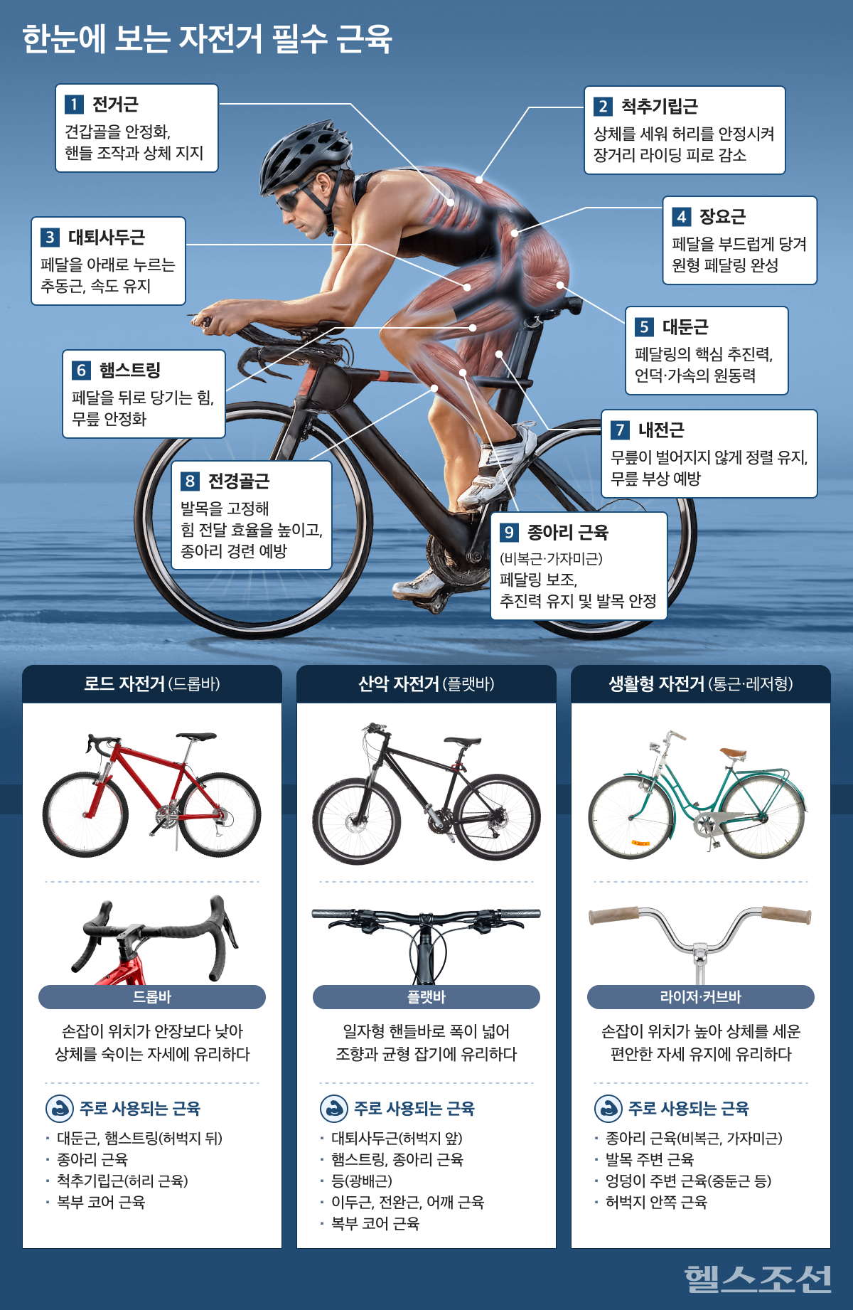 자전거 탈 때 필요한 근육 그래픽