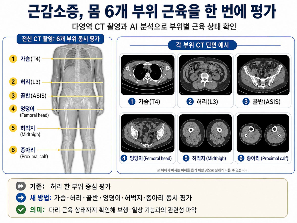 인포그래픽