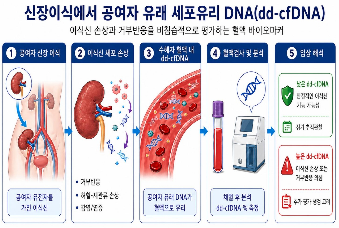 그래픽