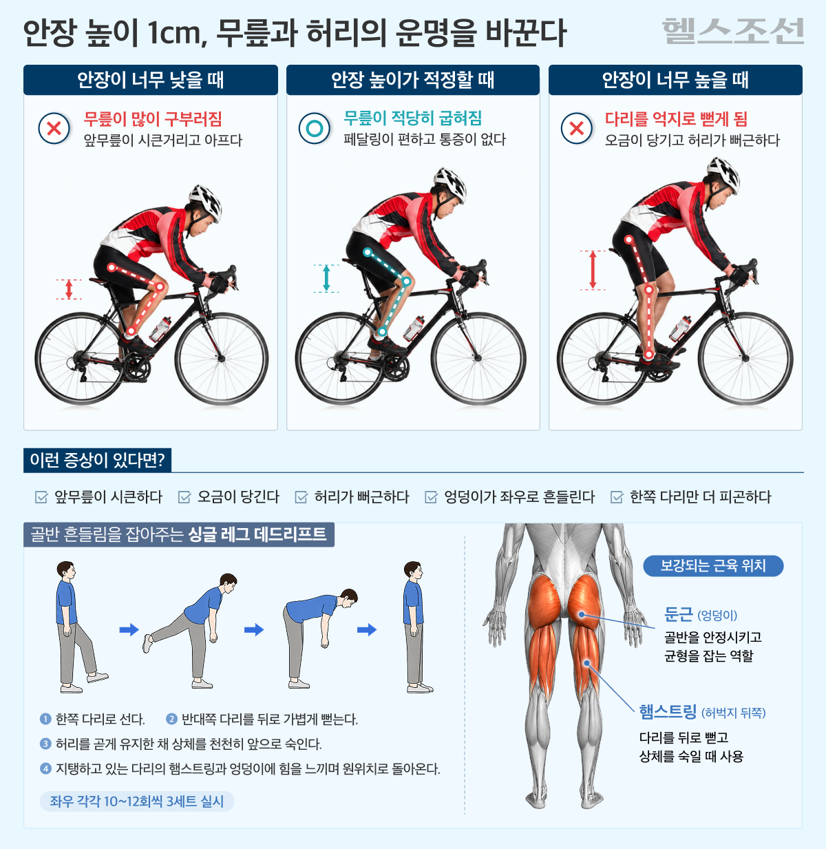 안장 높이 그래픽