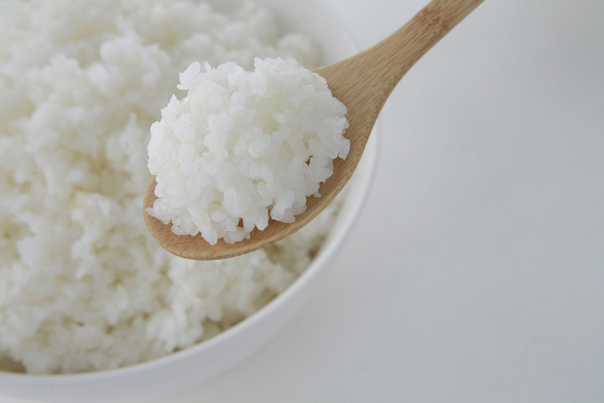 탄수화물 끊지 마세요, 혈당 스파이크 없이 건강하게 먹는 최적의 식단 전략