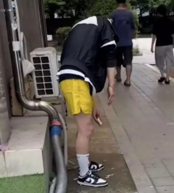 이미지