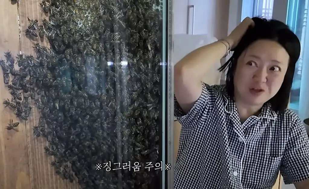 이미지