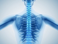 ����� ȯ��, �ǿܷ� '������' ���ơ� ��å��?