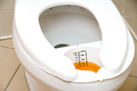 �Һ�, £�� Ȳ���̸� �� ��ȯ�� ������ ������?