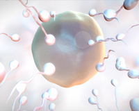 '���� ��' �Ǵ� �� ���� ���