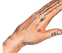 ü���� �� �����ָ� ���� '���ڸ�' 3