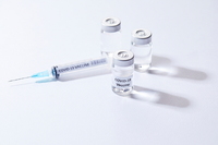 ȭ���� "���� ���̷����� ���ȿ�� �Һи�" ����