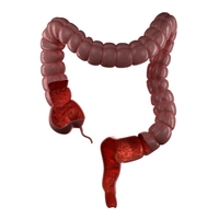 �鿪ü�� �̻����� ����� '��� �ڰ��鿪 ��ȯ' �Ƽ���..