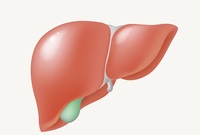 �� ���ڸ�, �� ���� �������?