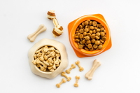 �������������̿��Ե� ����ա� ��� �Կ��� ������?