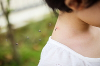 '�� ���' ���� �Դ�... �Ϻ����� ��� �����ұ�?