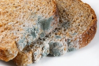 ���� �� ������, ���� ���� �Ծ �ɱ�?