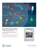 ī�̽�Ʈ, '������ ����' �̿��� �������� ���� ��� ��..