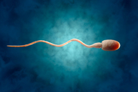 ���� ���� �ݷ����׷� ���� ����? ������ ������