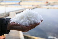 �Ǻ� ���� ���ſ� ���� 'õ�� ��ũ��' ����?