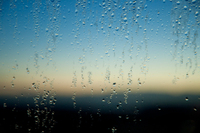 ��� �� �������� ��ȯ 4����