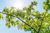 "����, �索 ȯ�� ��� ���� 18% ����"