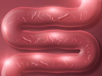 "�뺯 �̽�, ���� ��� �ν��� ���������� ����"