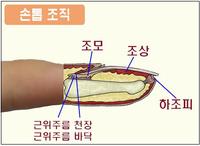 ���� ����� ���� ���� '��'�̶��?