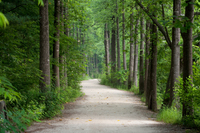 �긲 ��ó�� ��� û�ҳ�, ���� �ߴޡ�