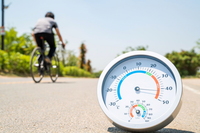 36������ ġ�ڴ� ����� ������ ���¿� ����Ǵٰ�