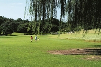 �ܵ�� �ٳ�� �� ������ '�� ����'�� ����