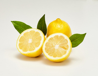 ����ö ȭ��� '����' ���Ź� 4