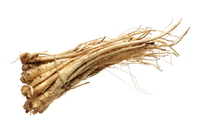 �����ǷΡ��ù溴 ���Ӵٸ顦 'OOO'�� ����