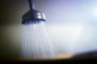 ���ù㵵 �η��� '�����'�� 6���� ����϶�