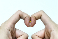 �ճ� �´��� �� '�� ���' �� �����顦 ��� ���� ��ȣ