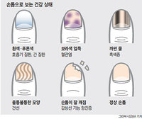 �����Ǫ���� ������ ȣ���� ��ȯ�� ���������������?