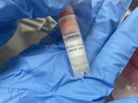 �޿½�, �� ��� ����ǪƮ��ũV�� ��Ÿ ���� ȿ�� ���� ����