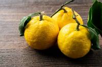 �ҽ��� �� �� ���� '����', �ǿ��� ȿ��?