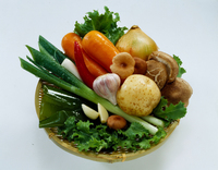 ���� �����ȴٸ�? '�� ��ǰ' �����غ�����