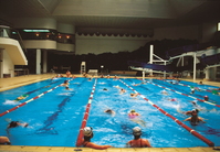 �����忡�� ���� �Ƿ��ϸ� �������� ��